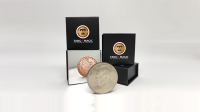 Eisenhower Copper and Silver (Heads) (D0144) by Tango - Tricks