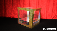 Crystal Flash Appearance Box (8