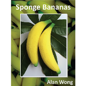 Sponge Bananas by Alan Wong